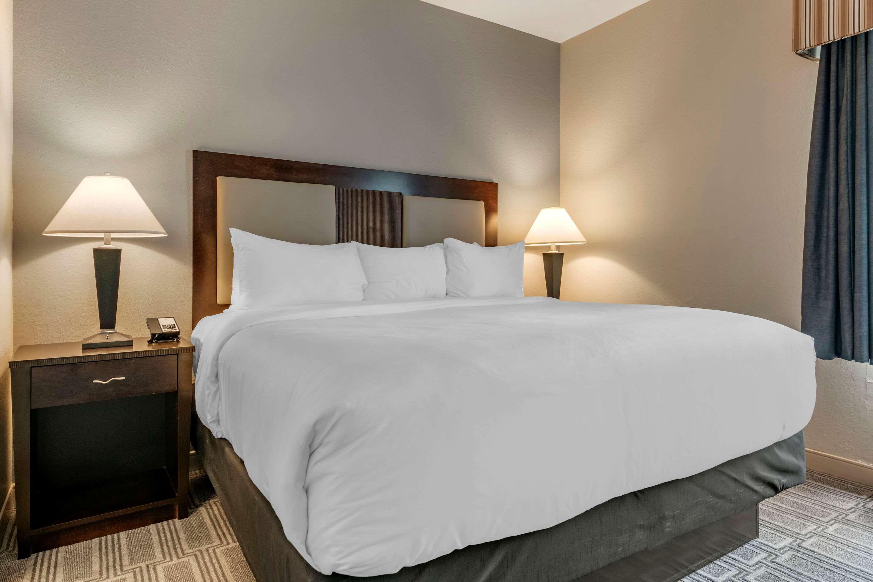 Comfort Inn & Suites Port Charlotte-Punta Gorda Екстериор снимка